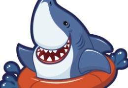 食品原料小百科：硫酸軟骨素可以用在什么地方？