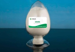 什么是透明質(zhì)酸？