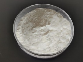 黃原膠 XANTHAN GUM  11138-66-2