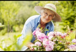 酪蛋白肽對D-半乳糖所致衰老的影響（上）