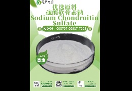 軟骨救星，硫酸軟骨素鈉讓你告別關(guān)節(jié)疼痛！